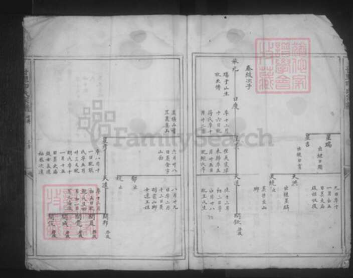 浙江省宁波市奉化区印氏族谱-甘里印氏宗谱.pdf电子版预览图4
