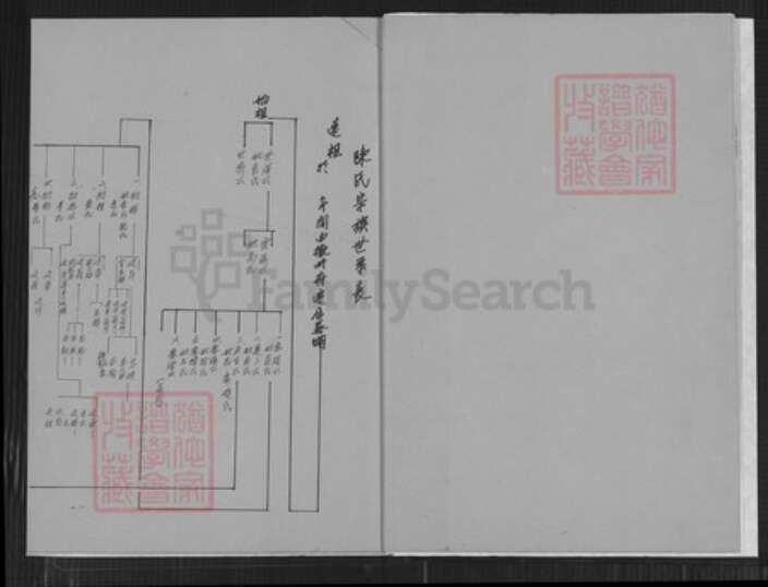 安徽省芜湖市陈氏务滋堂族谱-陈务滋堂家谱世系表.pdf电子版预览图4