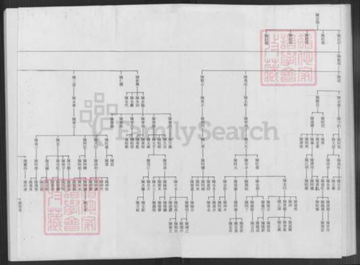 台湾台北市文山区陈氏族谱-陈志抱派下谱系世系表.pdf电子版预览图4
