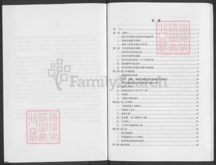 河南省开封市祥符区杜良乡高氏族谱-峦庄高氏家谱.pdf电子版预览图4