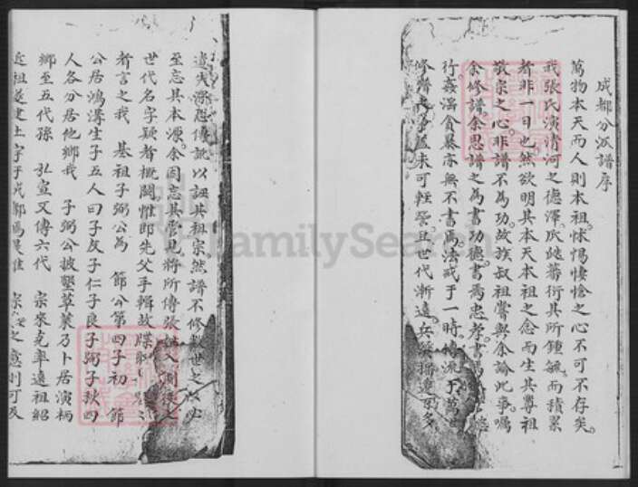 福建省漳州市长泰县枋洋镇张氏清河堂族谱-演柄张氏族谱.pdf电子版预览图4