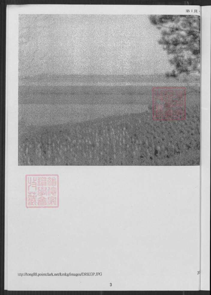 福建省泉州市金门县金城董氏族谱-金门古岗董氏家谱.开浯浒兴二世祖长房小社潭仔墘柱.pdf电子版预览图4