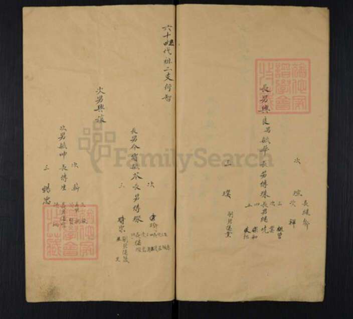 山东省济南市长清区文昌街道孟氏族谱-Missing Title.pdf电子版预览图4