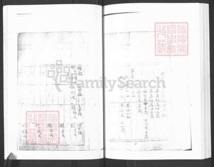 山东省烟台市栖霞市王氏族谱-栖霞王氏族谱.pdf电子版预览图4