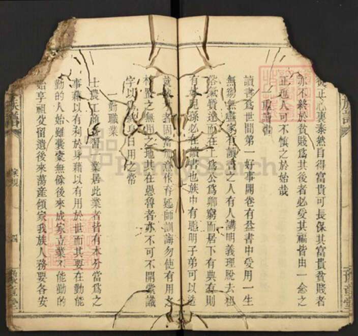 江西省罗氏族谱-罗氏族谱.pdf电子版预览图4