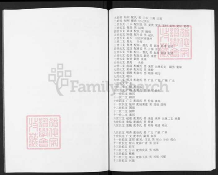 山东省泰安市东平县州城街道王氏族谱-王氏族谱.pdf电子版预览图4