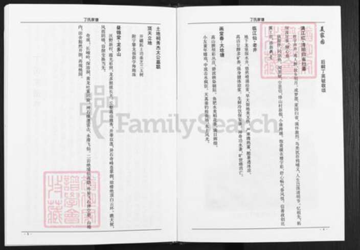 四川省遂宁市蓬溪县湖南省丁氏族谱-丁氏家谱.pdf电子版预览图4