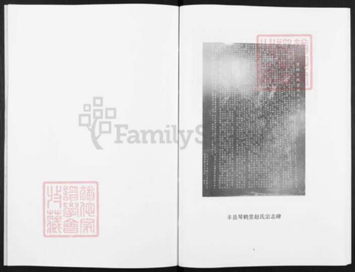 江苏省徐州市丰县江苏省徐州市丰县欢口镇赵；赵氏琴鹤堂族谱-古丰赵氏家谱.pdf电子版预览图4