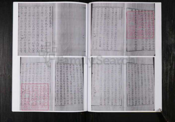 山东省烟台市宿氏族谱-东莱宿氏族谱.pdf电子版预览图4