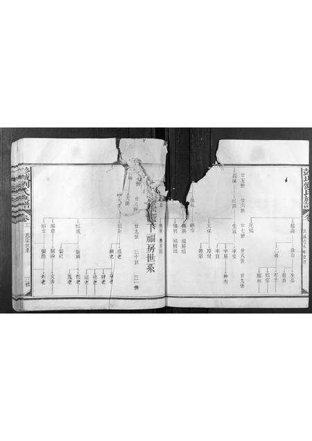 福建刘氏族谱-彭城刘氏族谱[4卷,首1卷].pdf电子版预览图4