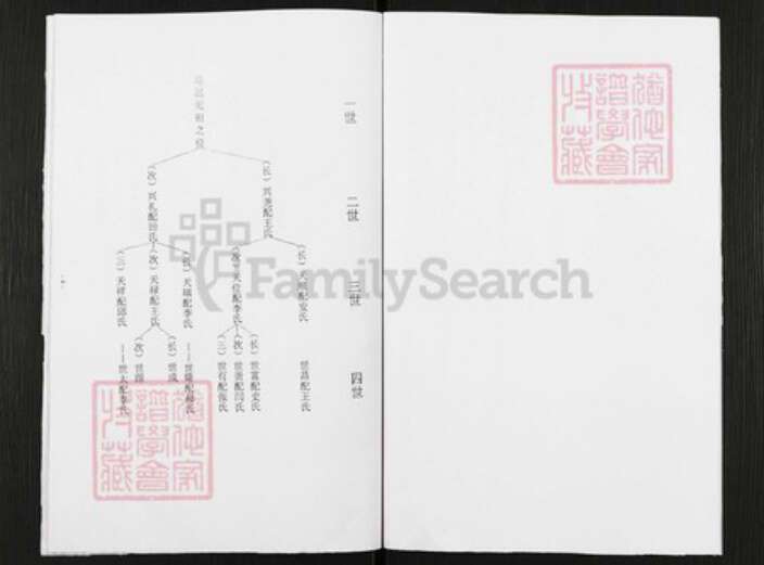 河南省焦作市温县武德镇宗氏族谱-宗氏族谱.pdf电子版预览图4