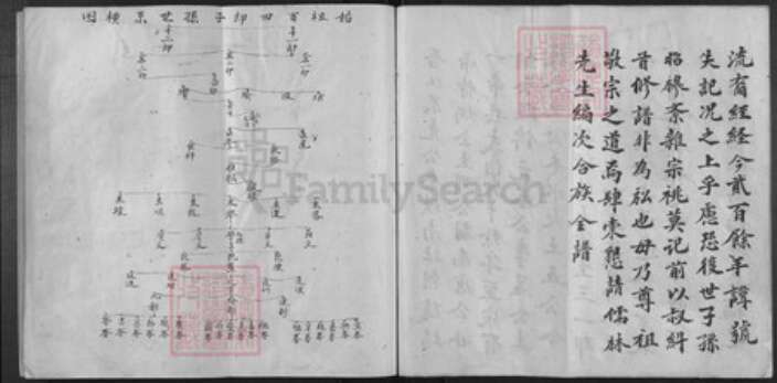 福建省李氏族谱-李氏族谱.pdf电子版预览图4