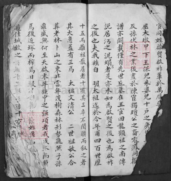 湖北省孝感市汉川市张氏族谱-张氏宗谱.pdf电子版预览图4