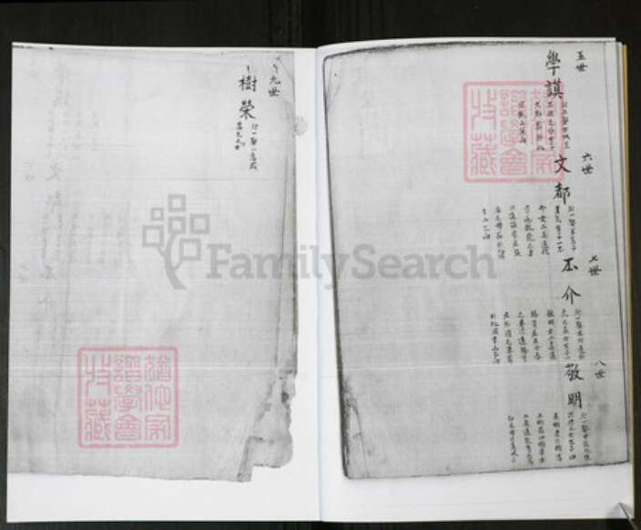 山东省青岛市即墨区管氏族谱-管氏祖谱 [不分卷].pdf电子版预览图4