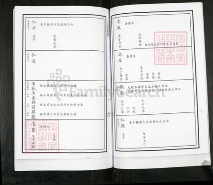 山东省青岛市即墨区王氏族谱-移风店镇堤前村王氏族谱.pdf电子版预览图4