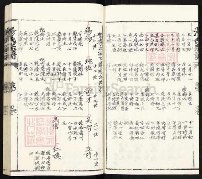 浙江省丽水市青田县汤氏族谱-汤氏宗谱.pdf电子版预览图4