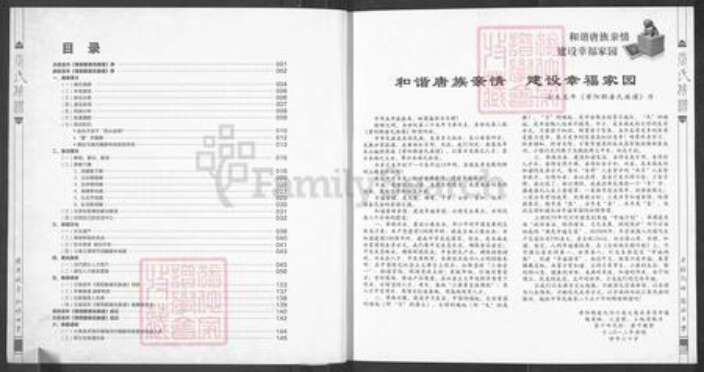 四川省遂宁市大英县唐氏族谱-唐氏族谱.pdf电子版预览图4