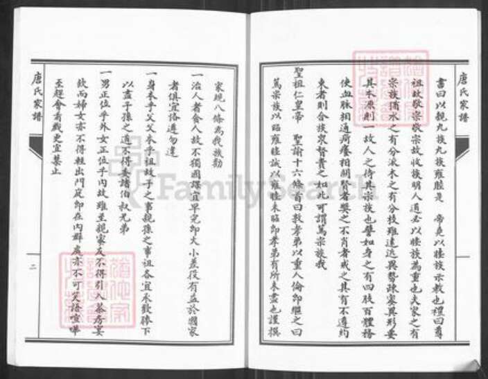 湖南省永州市零陵区唐氏族谱-唐氏家谱.pdf电子版预览图4