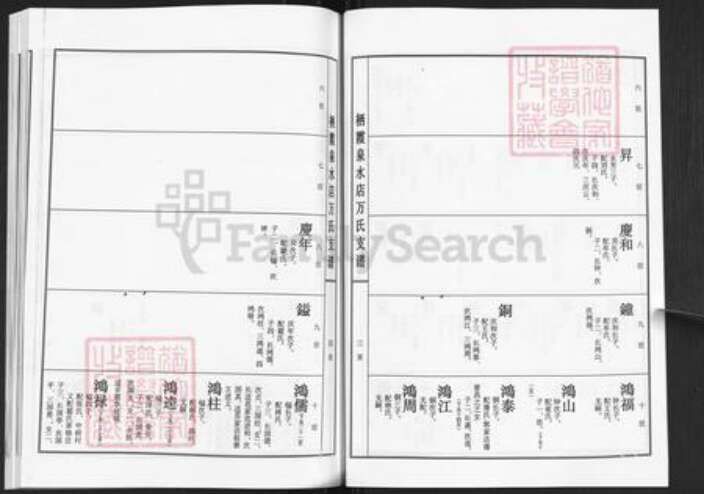 山东省烟台市栖霞市万氏族谱-栖霞市藏家庄镇泉水店万氏支谱.pdf电子版预览图4