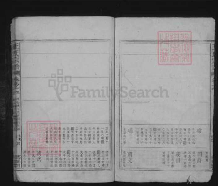 江西省九江市湖口县王氏族谱-王氏宗谱.pdf电子版预览图4