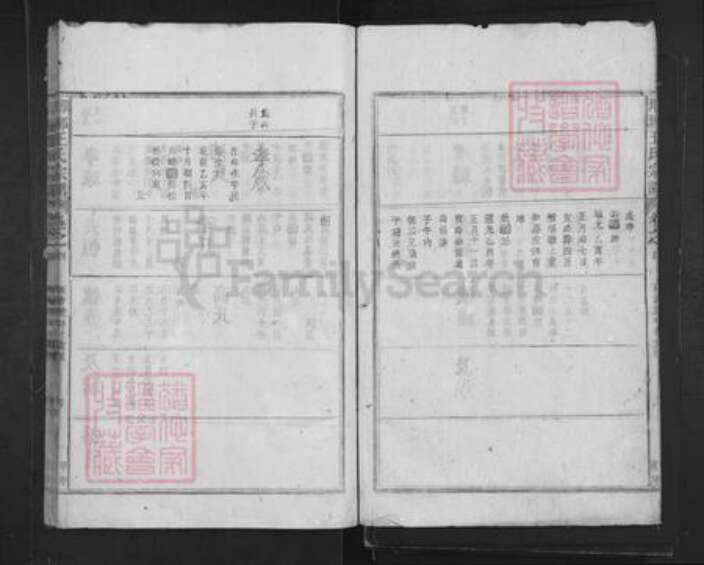 山东省临沂市临沂市王氏族谱-琅琊王氏宗谱.pdf电子版预览图4