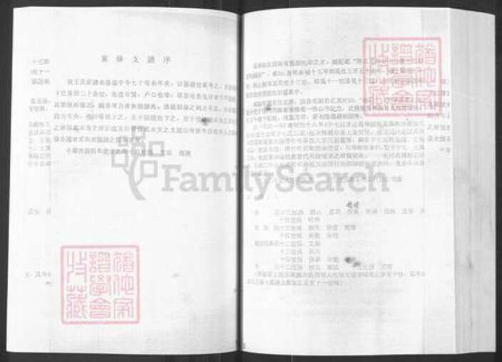 山东省烟台市栖霞市王氏族谱-山东栖霞邵庄泥都村王世家谱.pdf电子版预览图4