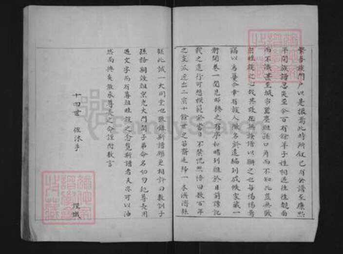 山东省滨州市惠民县李庄镇王氏族谱-王氏世谱.pdf电子版预览图4