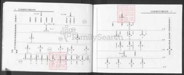 山西省吕梁市柳林县孟门镇王氏族谱-王氏家谱.pdf电子版预览图4