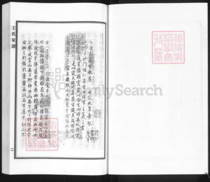 河北省沧州黄骅市旧城镇王氏族谱-王氏家谱.pdf电子版预览图4