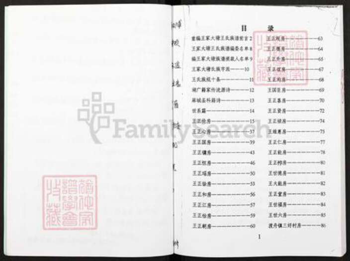 重庆市长寿区双龙镇王氏族谱-王氏族谱.pdf电子版预览图4