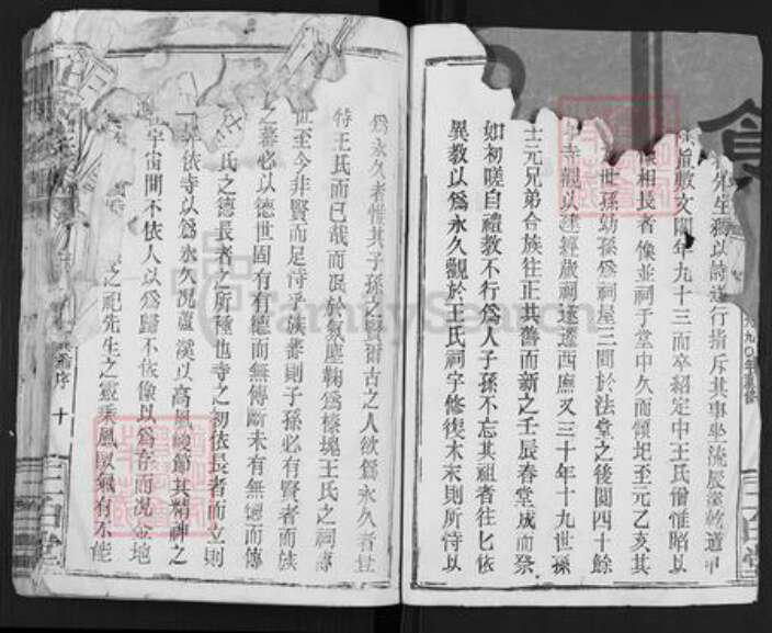 江西省吉安市安福县王氏三白堂族谱-王氏族谱.pdf电子版预览图4