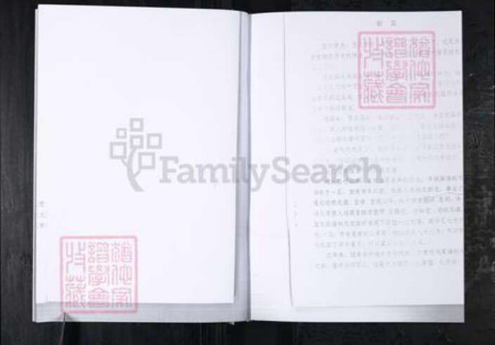 山东省青岛市城阳区王氏族谱-王氏家谱.城阳区红岛前阳村.pdf电子版预览图4