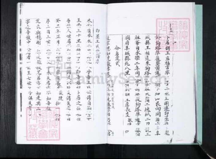 山东省青岛市崂山区王氏族谱-中韩社区王氏族谱.pdf电子版预览图4