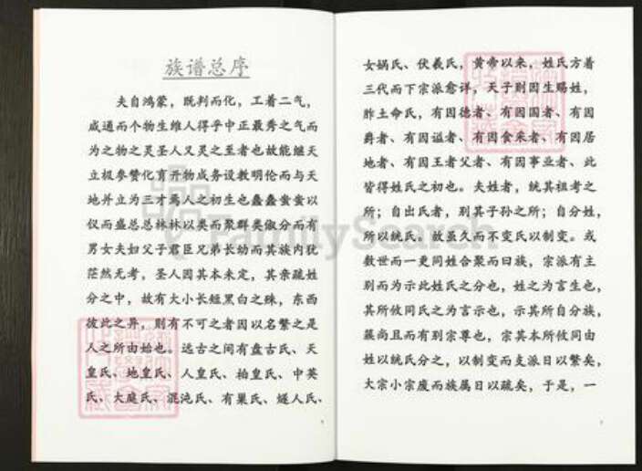 云南省昭通市镇雄县乌峰王氏族谱-王氏家谱.pdf电子版预览图4