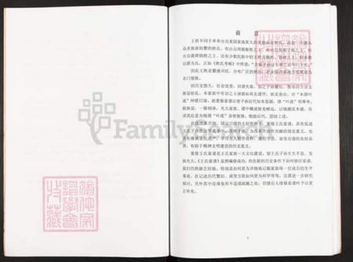 江苏省扬州市仪征市大仪镇王氏三槐堂族谱-王氏家谱.pdf电子版预览图4