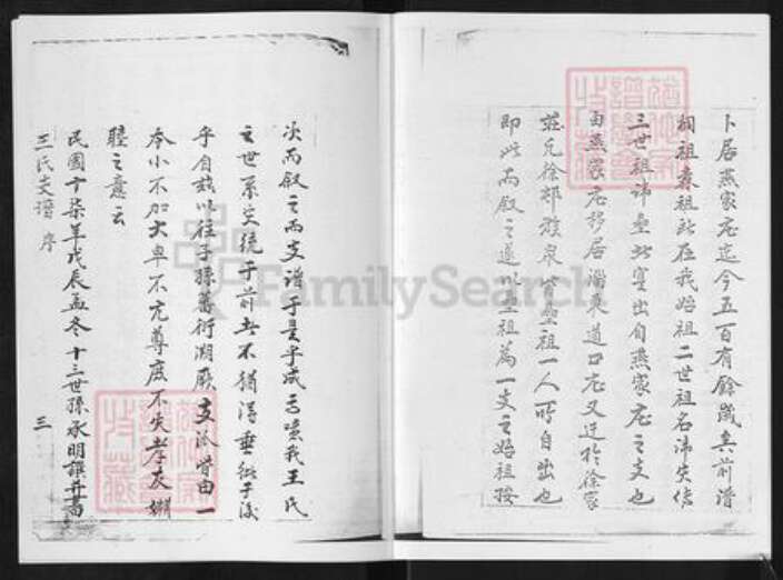 山东省淄博市淄川区王氏族谱-山东淄川城东王氏支谱.pdf电子版预览图4