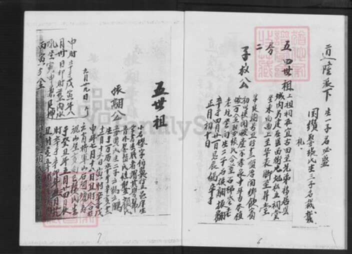 福建省漳州市平和县大溪镇陈氏树德堂族谱-颍川陈氏族谱.pdf电子版预览图4