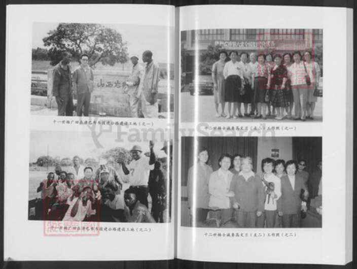 山西省阳泉市平定县冠山镇杨氏族谱-杨氏族谱.pdf电子版预览图4