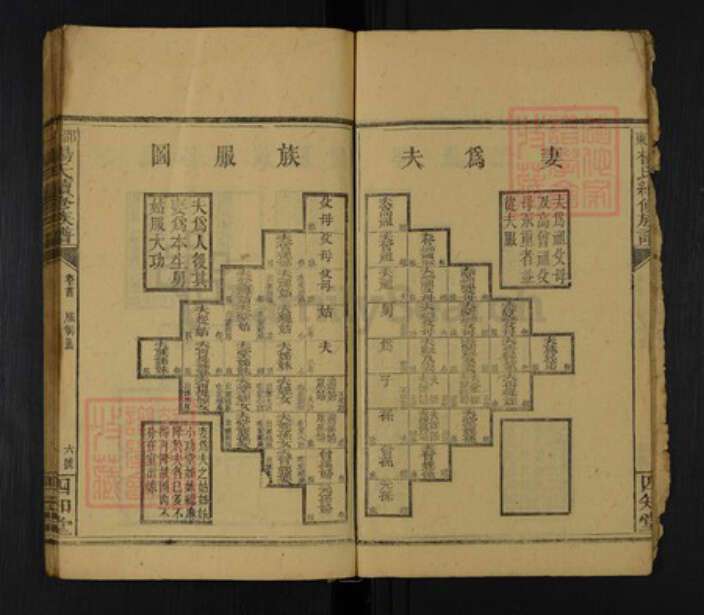 湖南省邵阳市邵东杨氏四知堂族谱-邵东杨氏续修族谱.pdf电子版预览图4