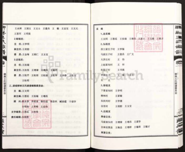 山东省潍坊市诸城市皇华镇王氏益友堂族谱-诸城柳林王氏族谱.pdf电子版预览图4