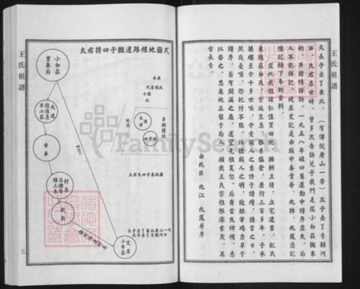 河北省沧州青县金牛镇王氏族谱-王氏祖谱.pdf电子版预览图4