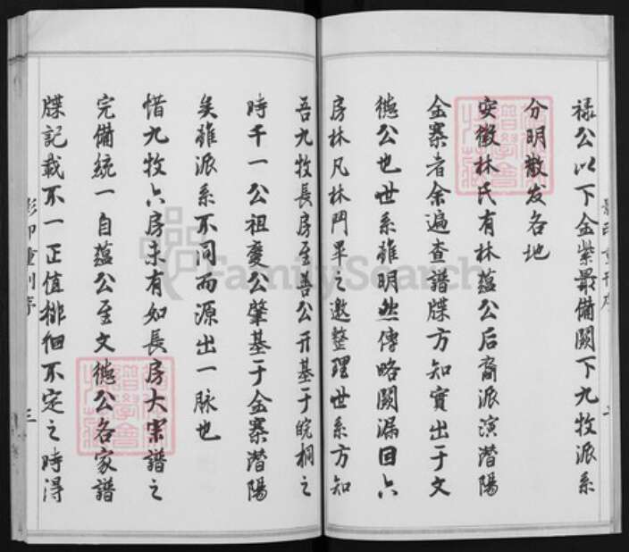 福建省莆田市荔城区林氏至善堂族谱-西河九龙林氏族谱.pdf电子版预览图4
