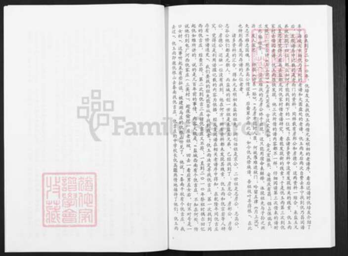 江苏省盐城市亭湖区仇氏树德堂族谱-仇氏宗谱.贞辈公宗支.pdf电子版预览图4