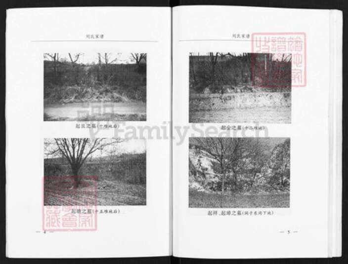 山西省临汾市乡宁县光华镇刘氏族谱-刘氏家谱.pdf电子版预览图4