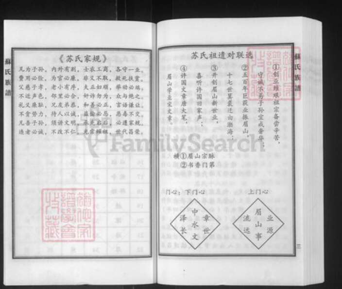 河北省沧州泊头市泊镇镇苏氏族谱-苏氏族谱.pdf电子版预览图4