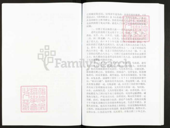 山东省日照市丁氏族谱-丁氏族谱.pdf电子版预览图4