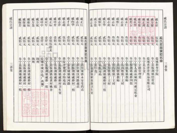 江苏省盐城市阜宁县板湖镇戚氏三善堂族谱-戚氏宗谱.pdf电子版预览图4