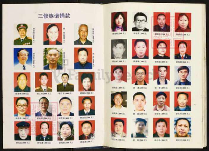 四川省南充市仪陇县四川省南充市仪陇县胡氏族谱-胡氏族谱.pdf电子版预览图4