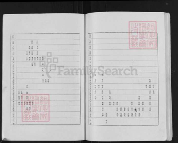 江苏省扬州市高邮市界首镇王氏槐荫堂族谱-王氏家谱.pdf电子版预览图4