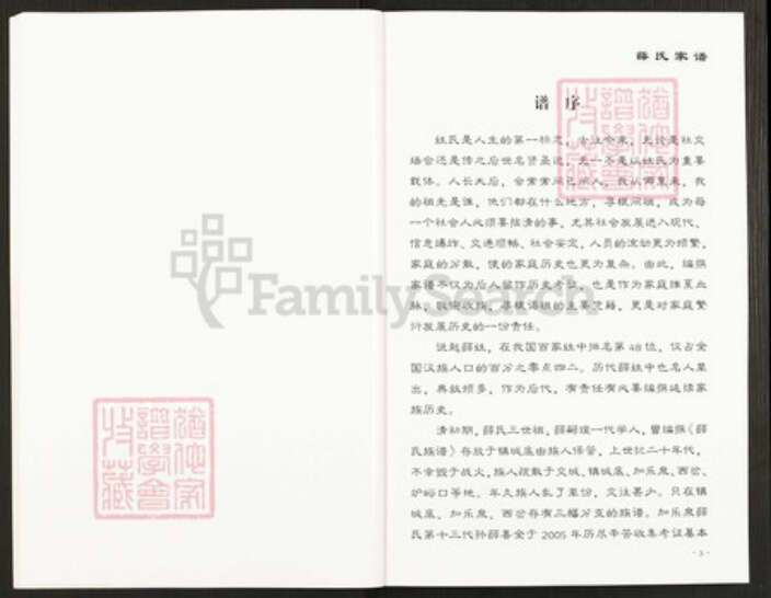 山西省太原市古交市薛氏族谱-薛氏家谱.pdf电子版预览图4